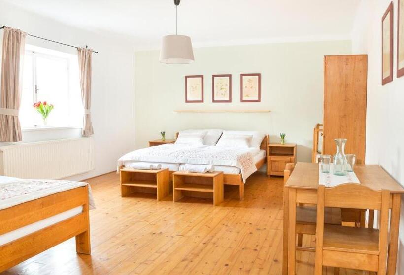 Standard Trippelrum, Penzion Dvorce