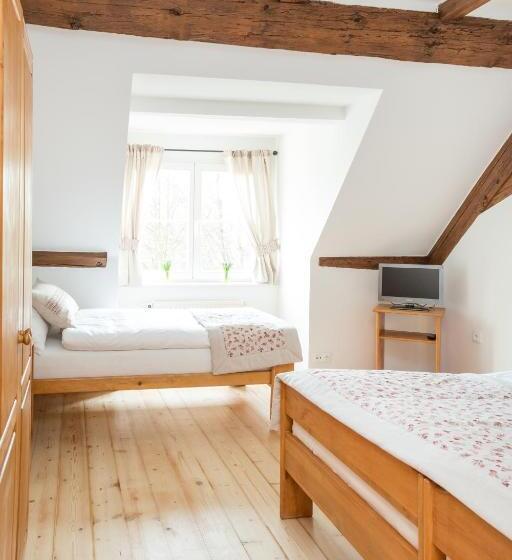 Ekonomiskt Trippelrum, Penzion Dvorce