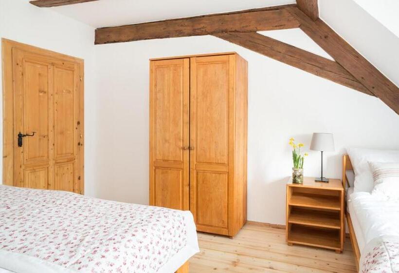 Ekonomiskt Trippelrum, Penzion Dvorce