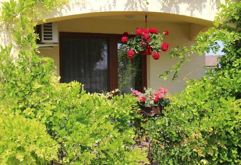 استودیوی استاندارد, Toskána