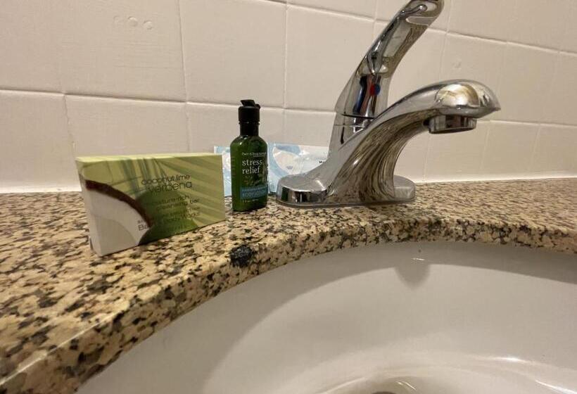 غرفة قياسية ثلاثية, Four Seasons Lodge