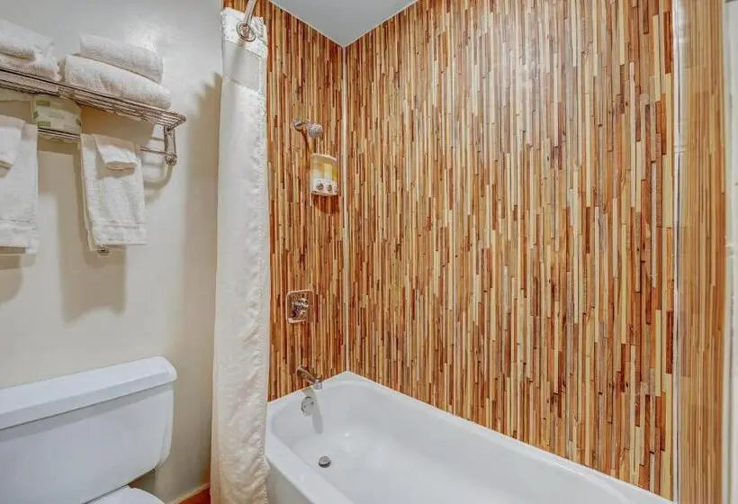スタンダード４人部屋, Four Seasons Lodge
