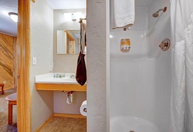 شقة غرفة واحدة, Four Seasons Lodge