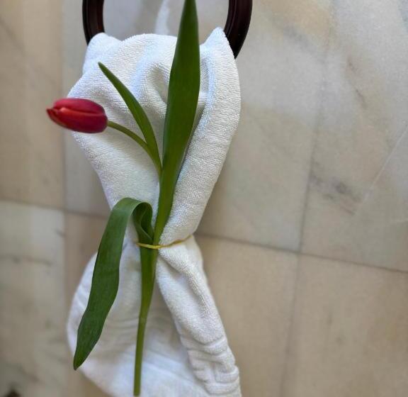 جناح ديلوكس, Cetatea Medievala