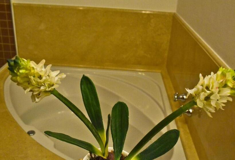 חדר סטנדרט עם ג'קוזי, Solar D Izabel