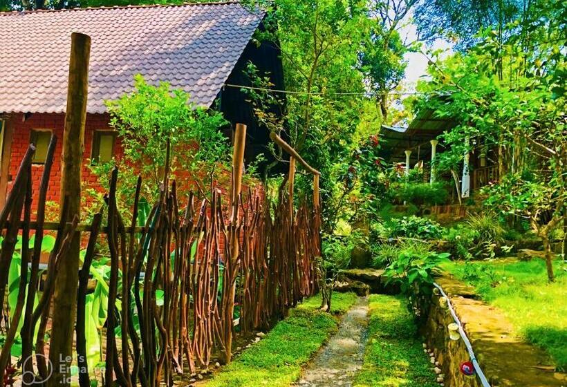 Quarto Familiar, Little Folly