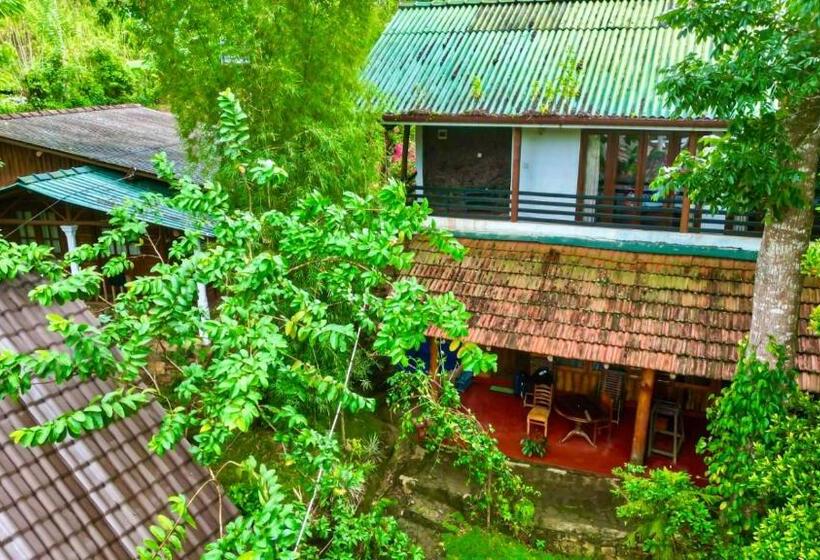 Quarto Familiar, Little Folly