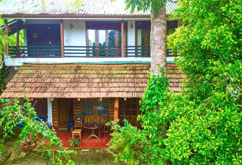 Quarto Familiar, Little Folly