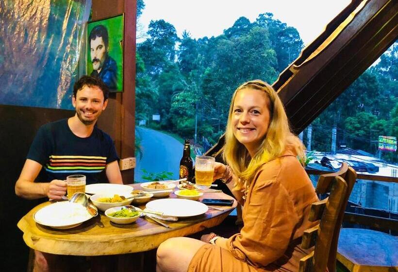 Quarto Familiar, Little Folly