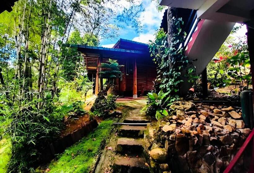 Quarto Triplo Standard Vista Jardim, Little Folly