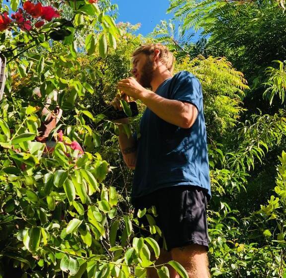 Quarto Triplo Standard Vista Jardim, Little Folly