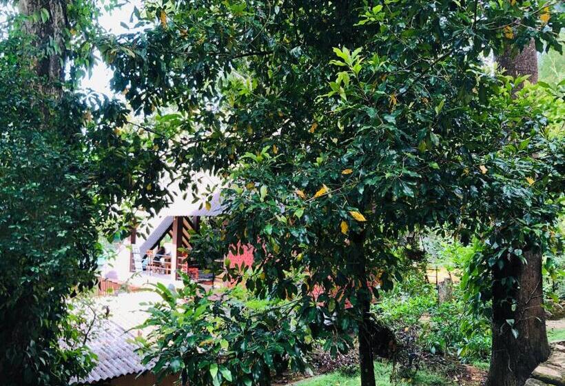 Quarto standard, Little Folly