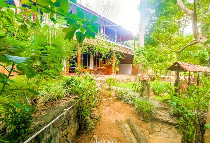 Quarto standard, Little Folly