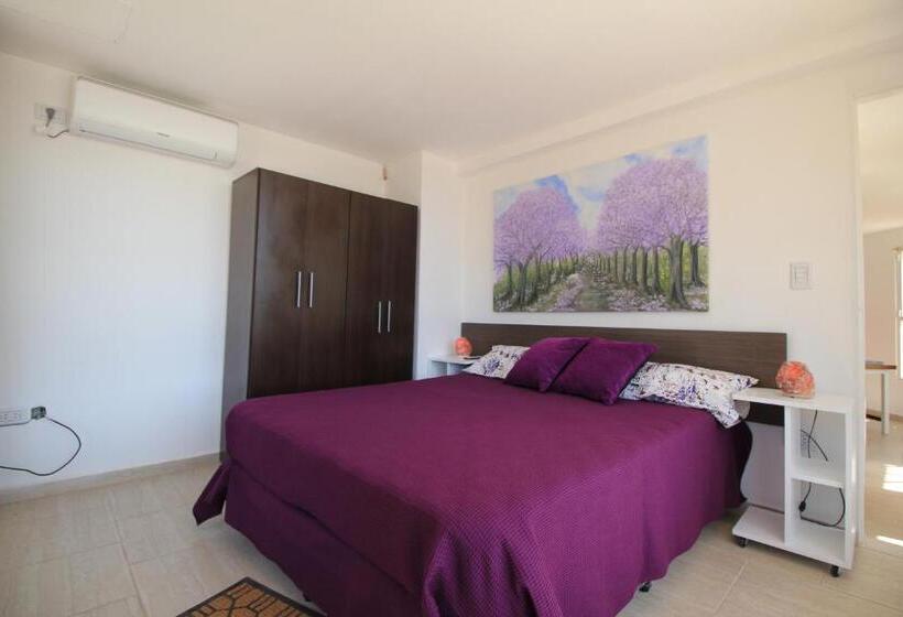 آپارتمان 1 خوابه با چشمانداز, Espacio Zen Deros