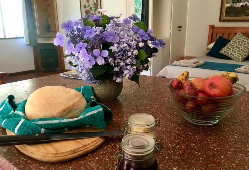 标准房带园景, Sanfern Downs Cottage