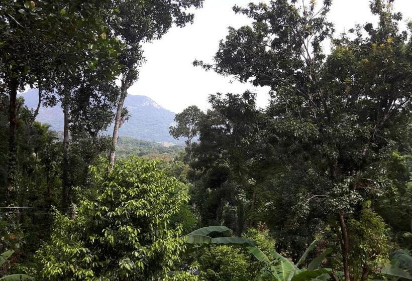 غرفة قياسية مزوَّدة بشُرفة, Zee's Garden