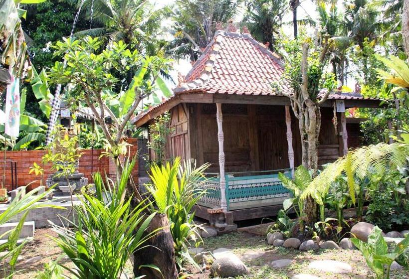 豪华洋房, Ryanbagus Guest House