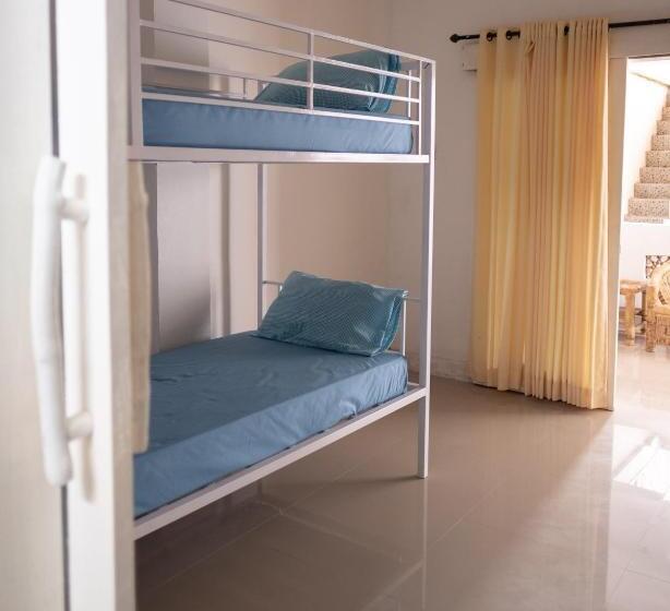 共用房间的床, Tipsea Turtle Rooftop Hostel Gili Trawangan