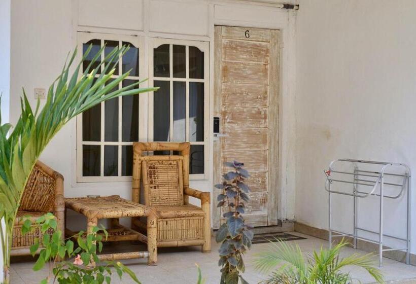 共用房间的床, Tipsea Turtle Rooftop Hostel Gili Trawangan