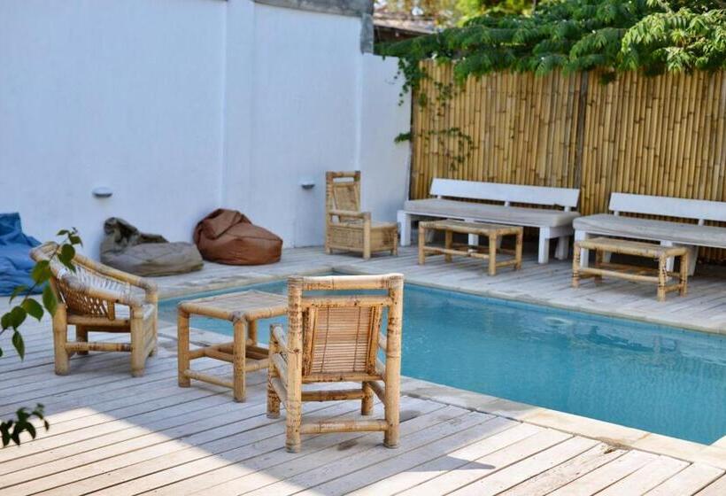 共用房间的床, Tipsea Turtle Rooftop Hostel Gili Trawangan