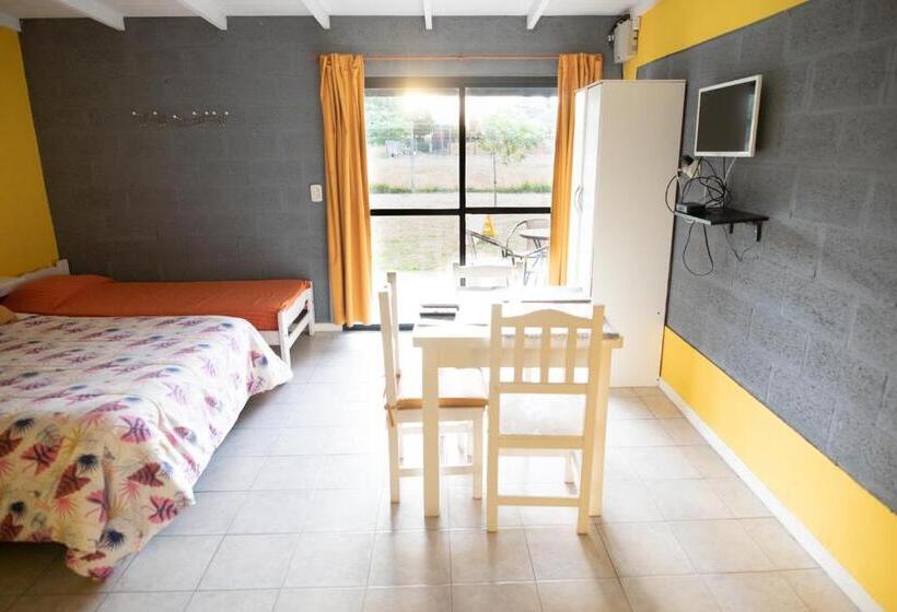 StandaardKamer, Aramis