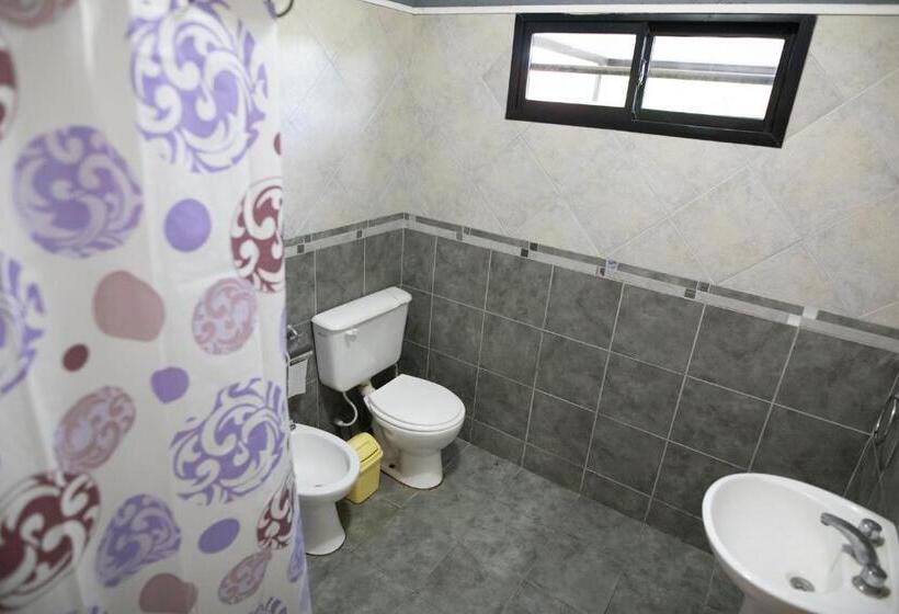 StandaardKamer, Aramis