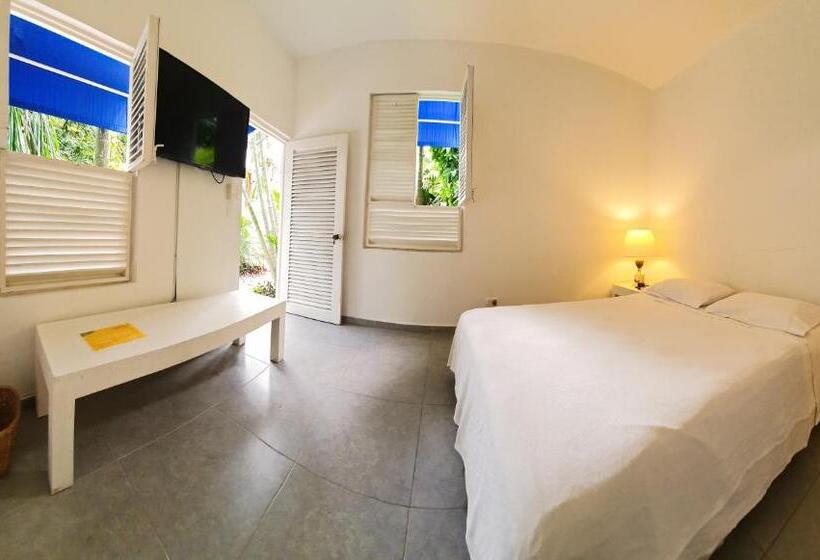 标准间, Casamarilla