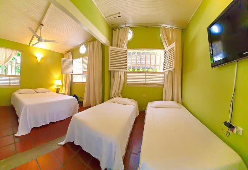 家庭间, Casamarilla