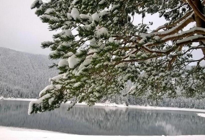 Chambre Deluxe, Guesthouse Andrea A