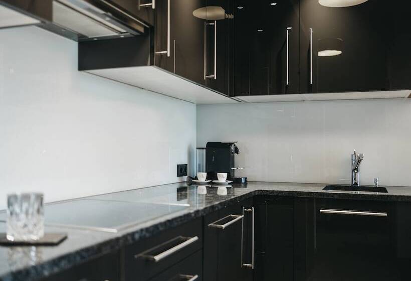 1ベッドルームのデラックスアパートメント, Vaya St Anton