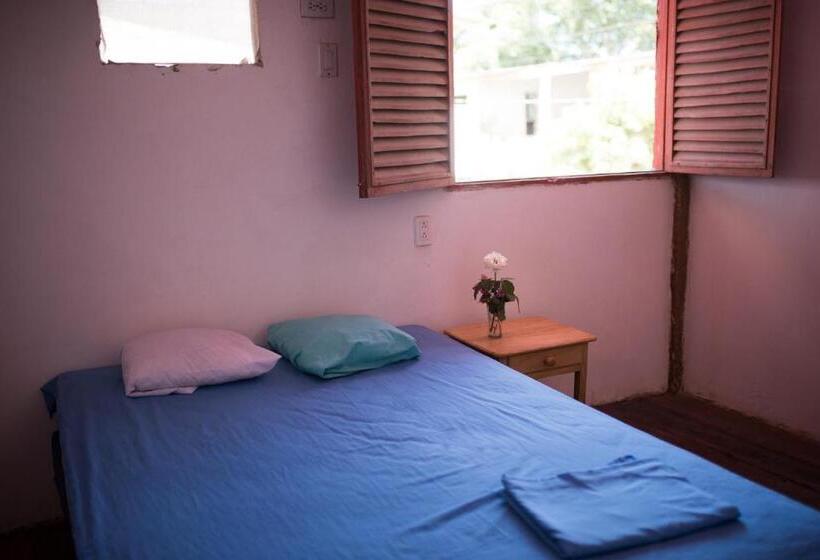 غرفة قياسية حمام مشترك, La Jungla