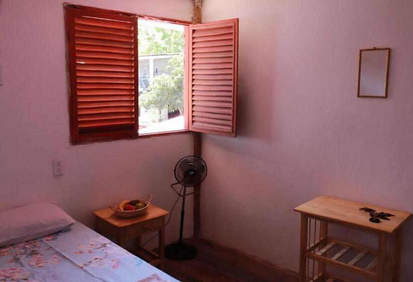 غرفة قياسية حمام مشترك, La Jungla