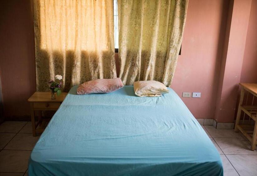 غرفة قياسية, La Jungla