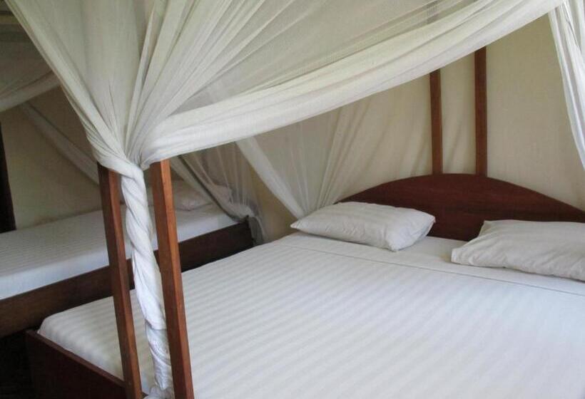 标准间, Abuso Inn