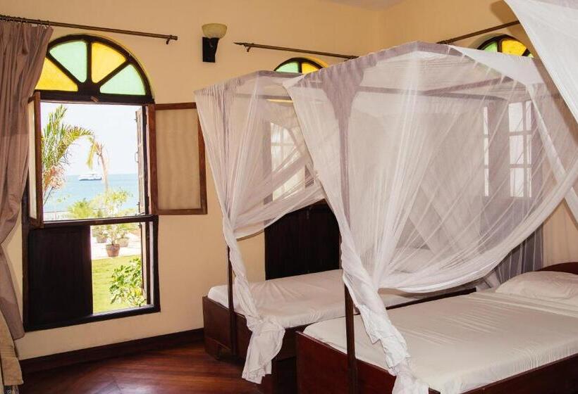 高级大房间, Abuso Inn