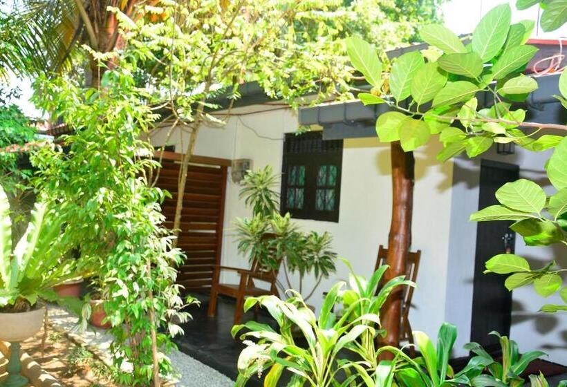 豪华房间, Livinginn Polonnaruwa