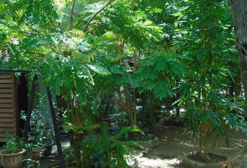 豪华房间, Livinginn Polonnaruwa