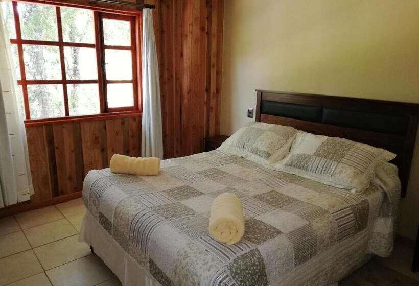 آپارتمان لوکس 1 خوابه, El Boldo Magico