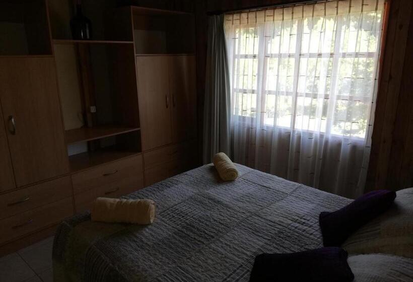 آپارتمان 1 خوابه, El Boldo Magico