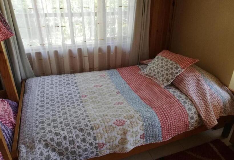 آپارتمان 1 خوابه, El Boldo Magico