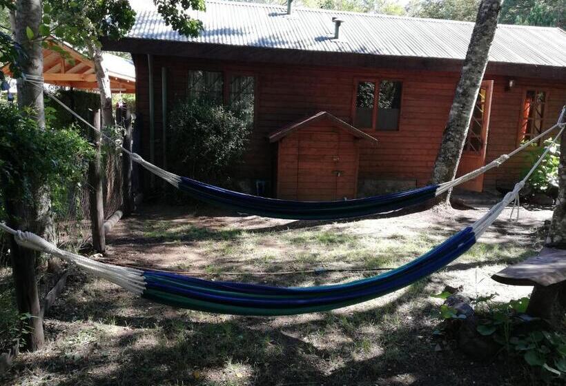 آپارتمان سوپریور 1 خوابه, El Boldo Magico