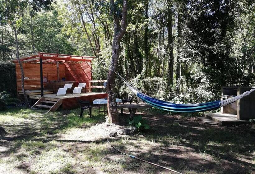 آپارتمان سوپریور 1 خوابه, El Boldo Magico