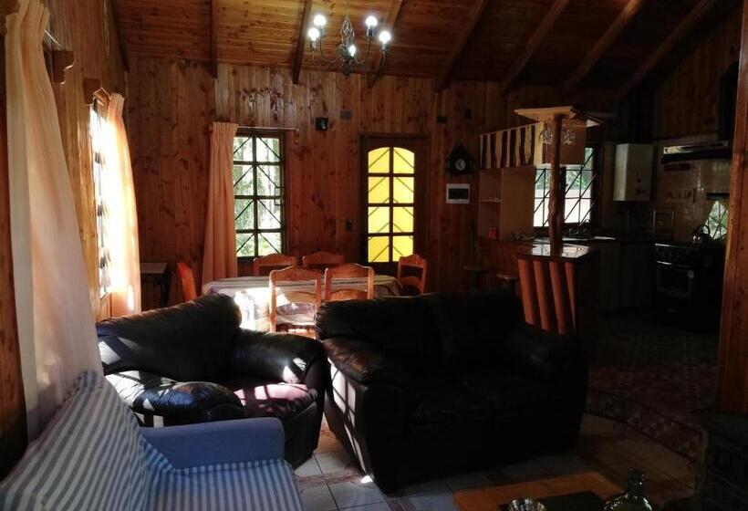 آپارتمان سوپریور 1 خوابه, El Boldo Magico