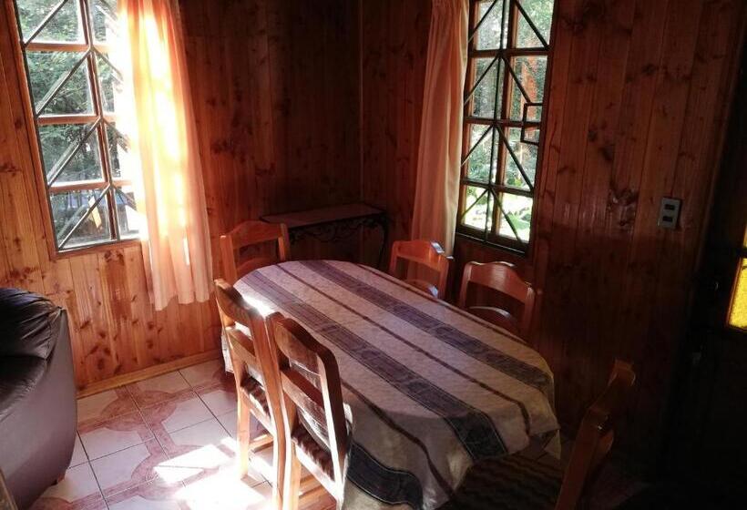 آپارتمان سوپریور 1 خوابه, El Boldo Magico