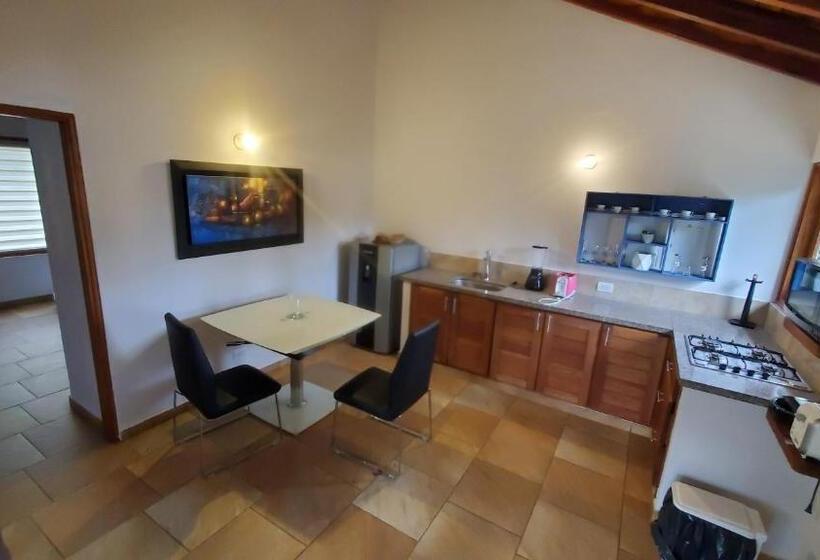 اتاق استاندارد با تخت بزرگ, Las Marías Apartasuites