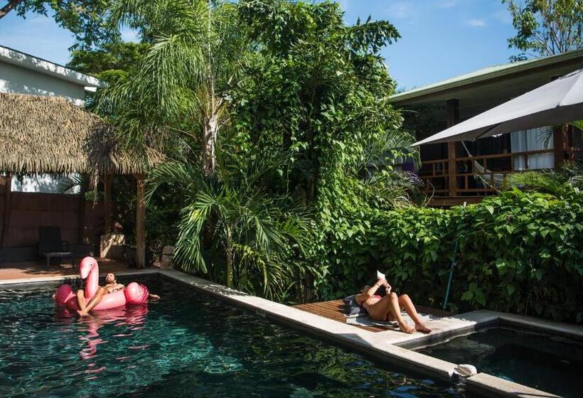 デラックスルーム, Ohana Villas