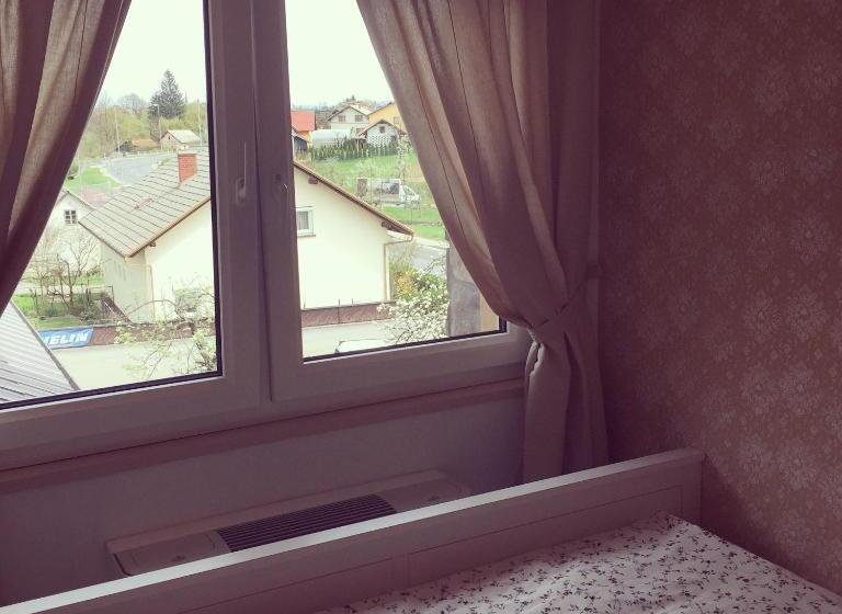 اتاق اکونومی, Samarin črnomelj