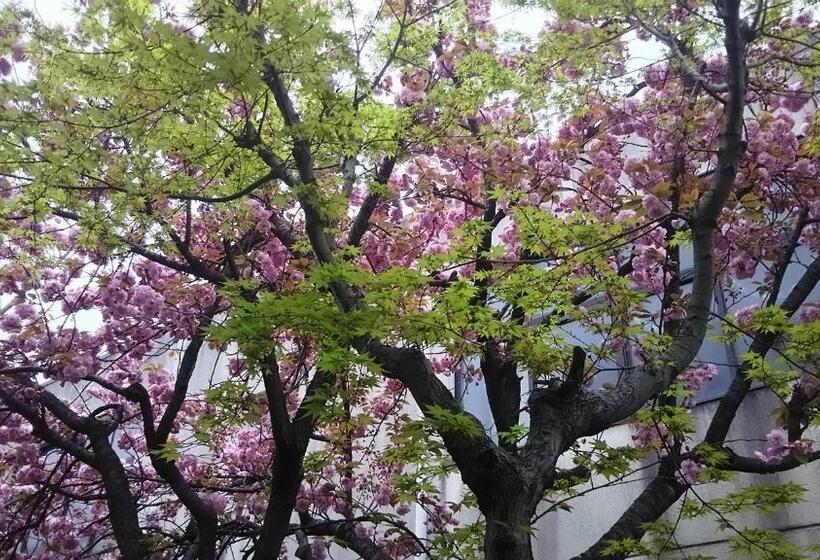 스탠다드 룸, Guesthouse Kyoto Kaikonoyashiro