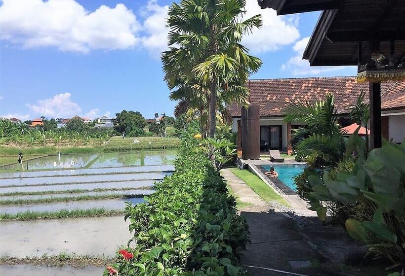 חדר משפחתי, Kampung Canggu