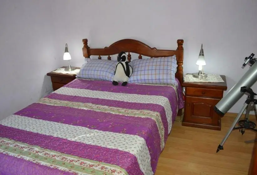 Standard-huone, Max